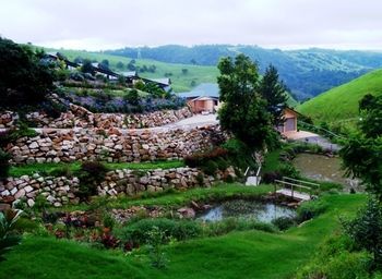 Of The Hill
